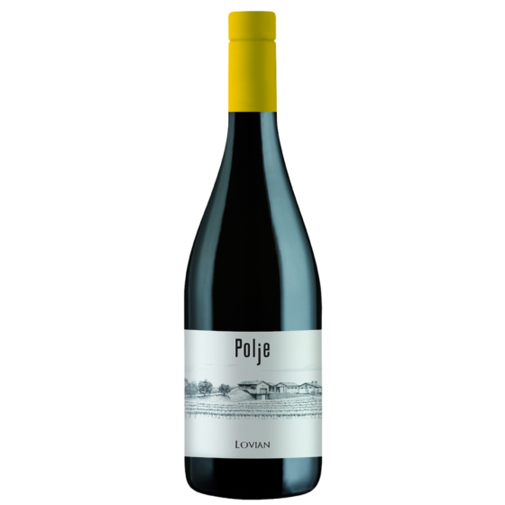 Lovian Sauvignon DOC Collio – minerálne talianske biele víno | Ciboitaliano