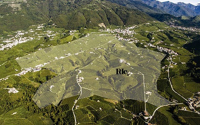 Cartizze: Luxus ukrytý v srdci Valdobbiadene